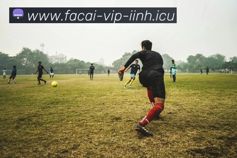 华体会体育服务体系