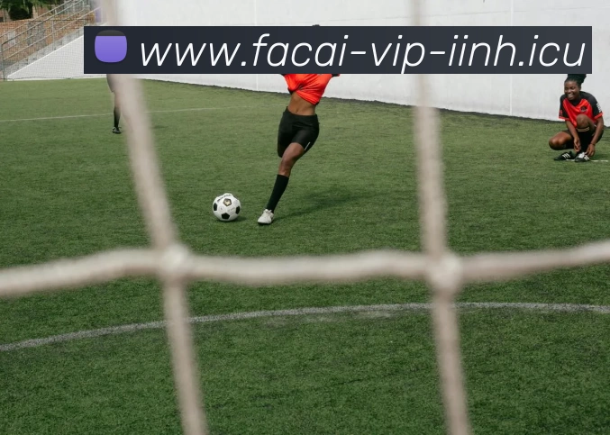 华体会体育APP 体育赛事宣传图